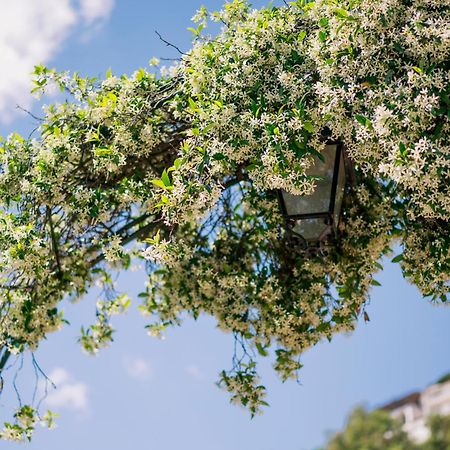 Villa Sant'Alfonso Scala Εξωτερικό φωτογραφία